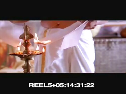 สีน้ำตาลจูบอย่างดูดด ...
