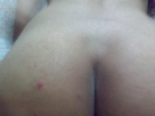 หมอพอใจสีน้ำตาลผู้ให ...